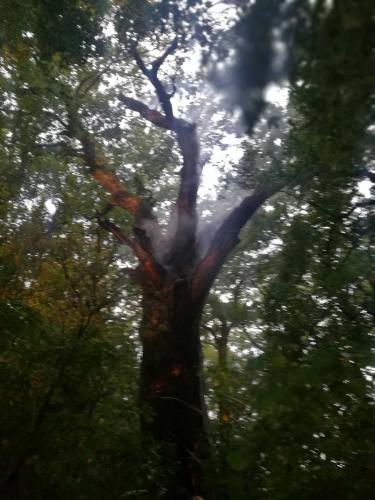 67914920 495328917868559 4083428581735137280 n