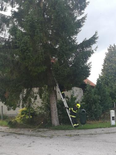 67821948 405039610124048 5894158781952032768 n