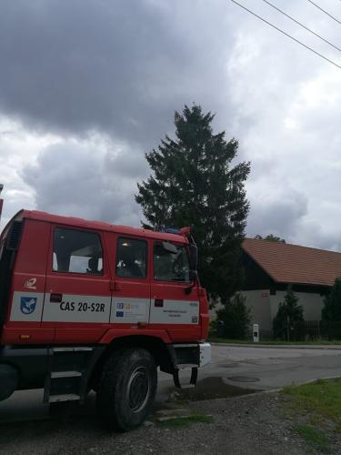 67932534 2161714744125859 4184517633548222464 n