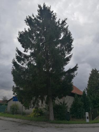 68354567 479033569547593 3518058336933117952 n