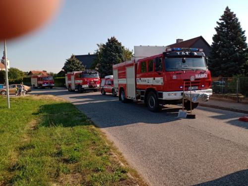 IMG 20200916 094732229 MP