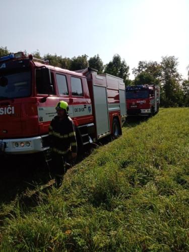 IMG 20200921 110322666 MP