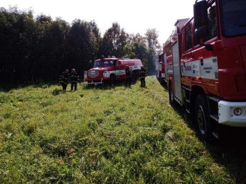 IMG 20200921 110433264 MP