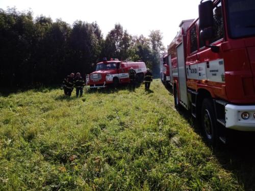 IMG 20200921 110434682 MP