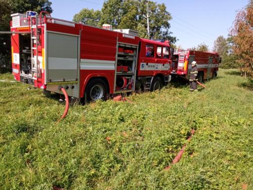 IMG 20200921 111736559 MP