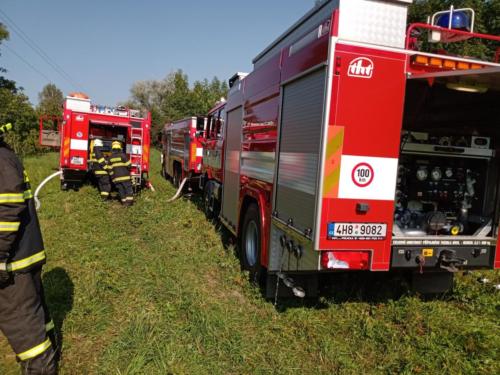 IMG 20200921 111758854 MP