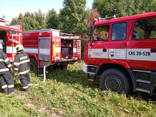 IMG 20200921 111810778 MP