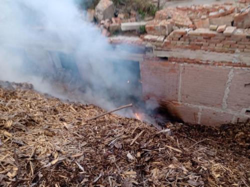 IMG 20200904 071550841