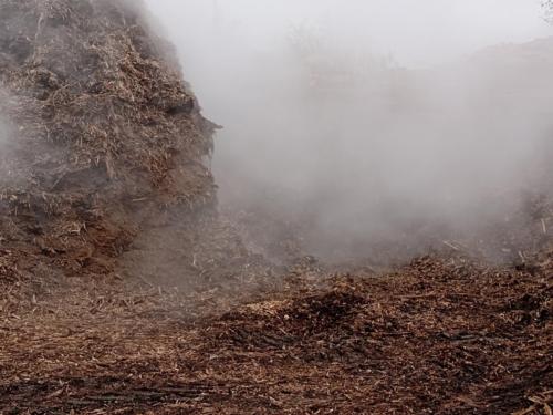 IMG 20200904 095652407