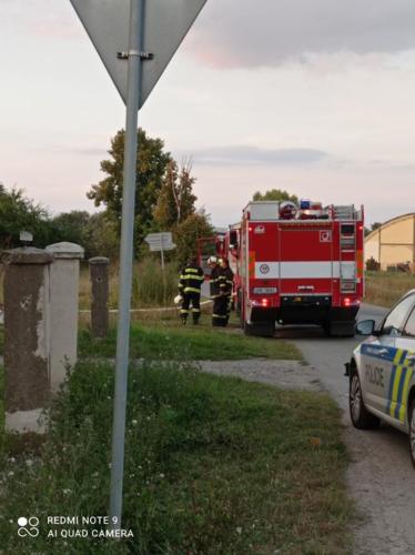 241770146 544574613306931 2355239251137918332 n