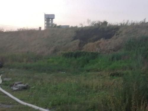 241778665 378256897236481 4389018699458556928 n