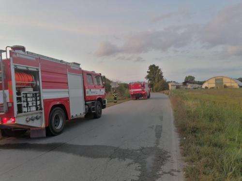 241780160 202073168655576 6413485411984750905 n