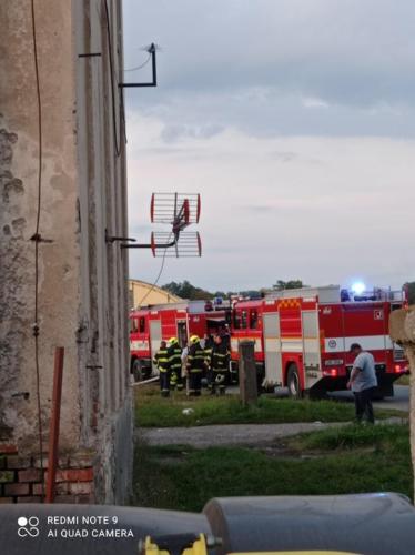 241799324 2033613676785957 3805296158381053134 n