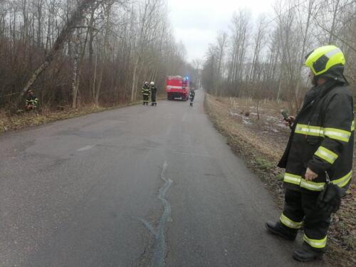 271587022 418182510041648 7731619759855952983 n