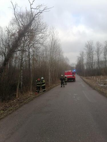 271744732 355919165966549 4617164403254998187 n