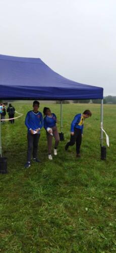 308685645 3308162369444185 1002081779432535433 n