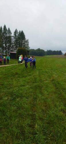 309175534 5935494363151074 7901836657195254648 n