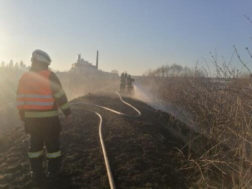 275775273 505144441001476 6771516932725606909 n