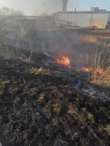 276086460 698852401469319 5584433933538780111 n