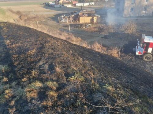 276152151 1371498286646036 1481432146881481282 n