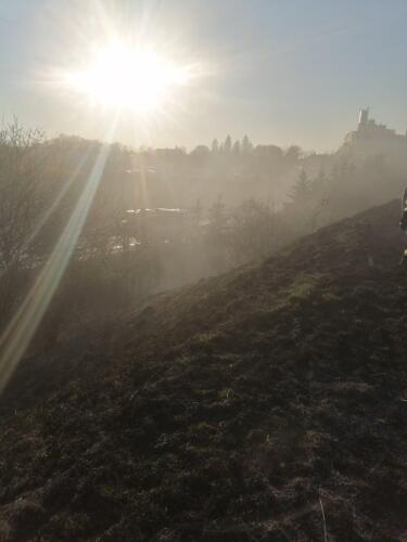 277115893 515540553311853 7302268126984911282 n