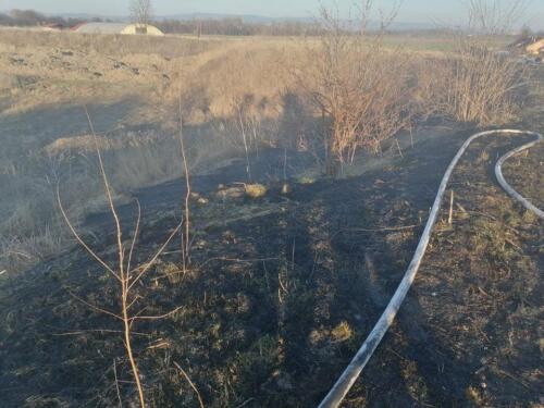 277255526 646415426459125 381701653934521438 n