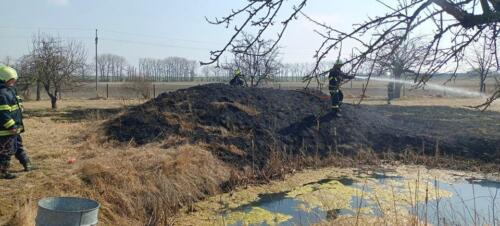 277115053 503107647961745 1354862638360422473 n