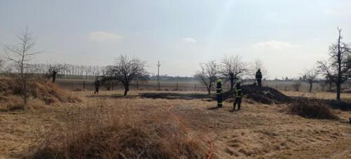 277153546 983079712599239 4280179045823890061 n