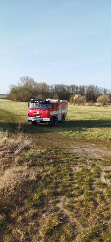 278128483 374190311383865 9212396817649713313 n