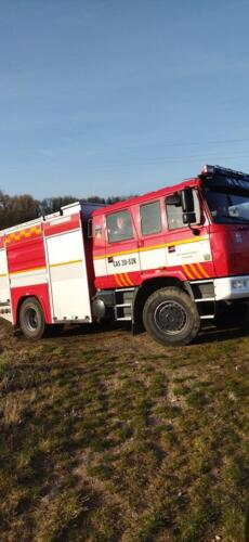 278135650 532619401722578 3168502133431646499 n