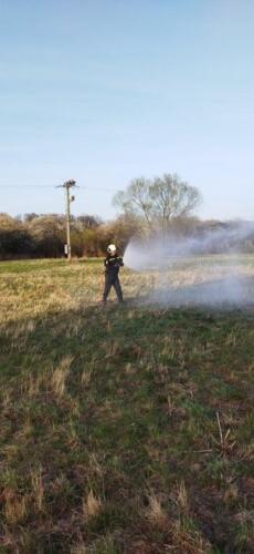 278191968 953311945367917 1354007881852460338 n