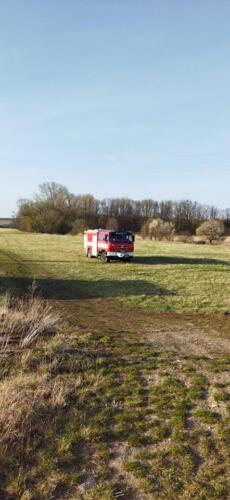 278228900 324844169748866 6686121167834740037 n