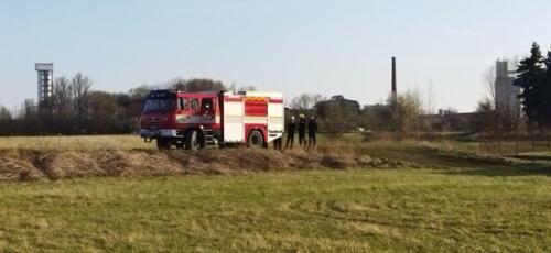 278234276 2966104580347491 2153532771950725343 n