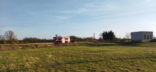 278287615 1336242880185496 6975559021313049307 n