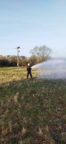 278344670 679833849795590 534682684225106601 n