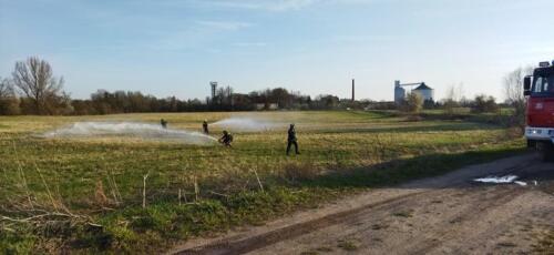 278398021 551177632992810 5367119231628769678 n