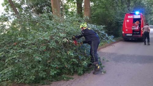 368429539 229891036224596 4340114208448732529 n