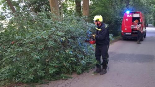 368429539 259936583653368 6254487947493301417 n