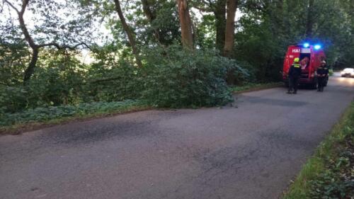 368695412 499050015777063 3778920986262894140 n