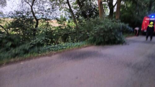 368721339 244816591270423 2574836358867254056 n