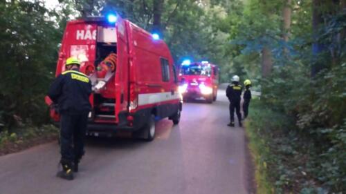 368902171 139816055843510 4024138853274301720 n