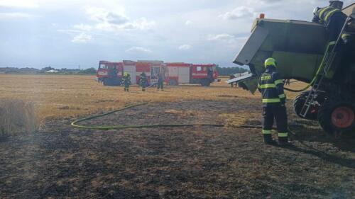 356995442 1035716871136332 6977938475652766243 n