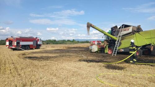 356998391 888400122486281 7191571646948246689 n