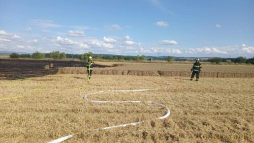 357007213 9969097999767732 4663898547323224011 n