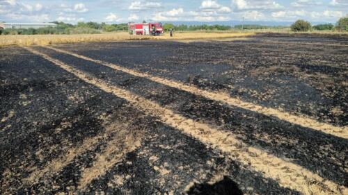 357033115 993548078651047 8448110711979962976 n