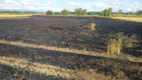 357045909 672321587607394 1967636123013149724 n