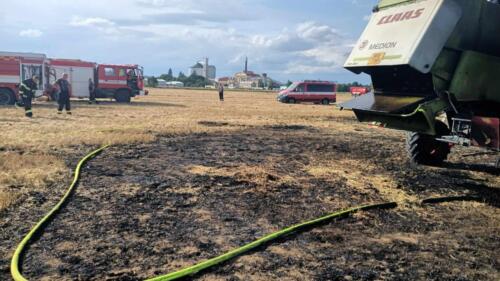 357109002 241602325355772 5768748002694774806 n