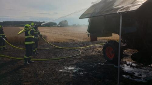 WhatsApp Image 2023-07-25 at 19.26.36 (2)