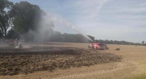 WhatsApp Image 2023-08-13 at 11.43.33 (2)