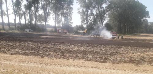 WhatsApp Image 2023-08-13 at 11.43.35